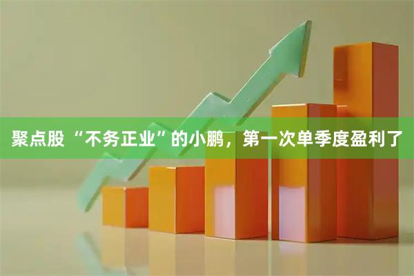 聚点股 “不务正业”的小鹏，第一次单季度盈利了