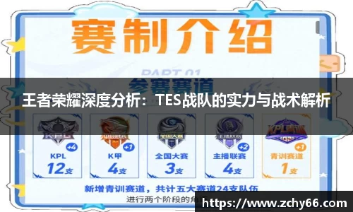 王者荣耀深度分析：TES战队的实力与战术解析