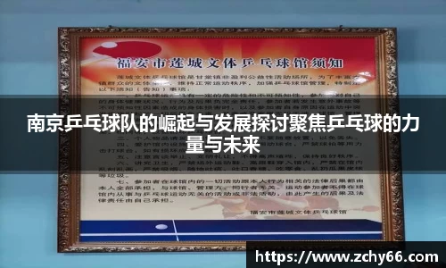 南京乒乓球队的崛起与发展探讨聚焦乒乓球的力量与未来
