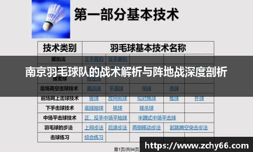 南京羽毛球队的战术解析与阵地战深度剖析