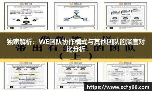 独家解析：WE团队协作模式与其他团队的深度对比分析