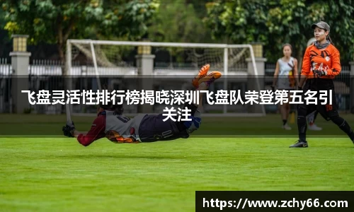 飞盘灵活性排行榜揭晓深圳飞盘队荣登第五名引关注