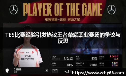 TES比赛经验引发热议王者荣耀职业赛场的争议与反思